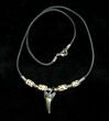 Fossil Sand Tiger Shark Tooth Necklace #3539-1